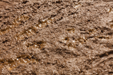 Auhagen 78152 - Modell-Pfützen, braun (60 ml)